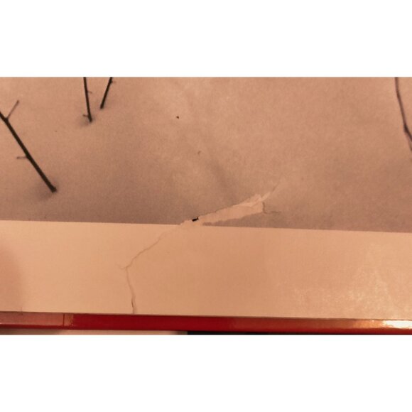 Baby Bears And How They Grow National Geographic Hardcover Book - Picture 6 of 9